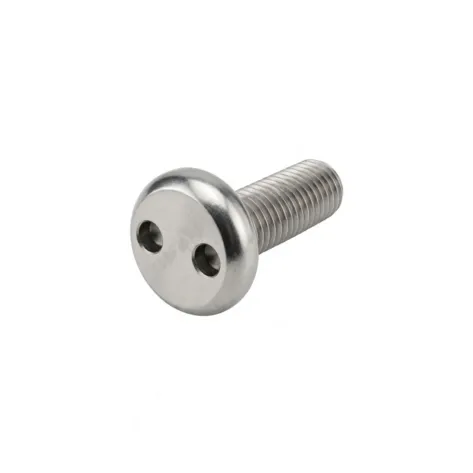 Винт полукругл SP10 с 2-мя отверстиями ART9101 5х30 А2