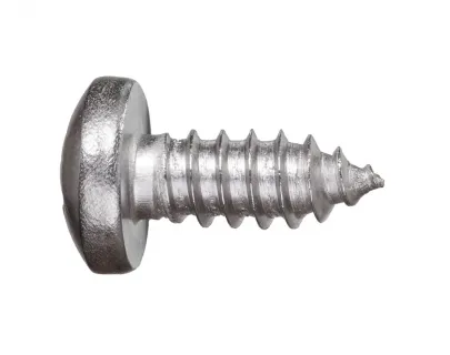 Шуруп-полусфера DIN7981 4,8х19 А2
