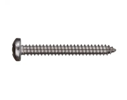 Шуруп-полусфера DIN7981 5,5х60 А2